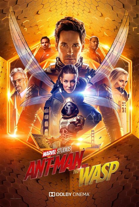 ant-man and the wasp myflixer